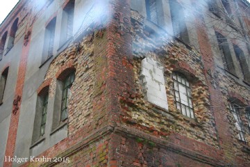 Schwedendamm - Ruine 6469